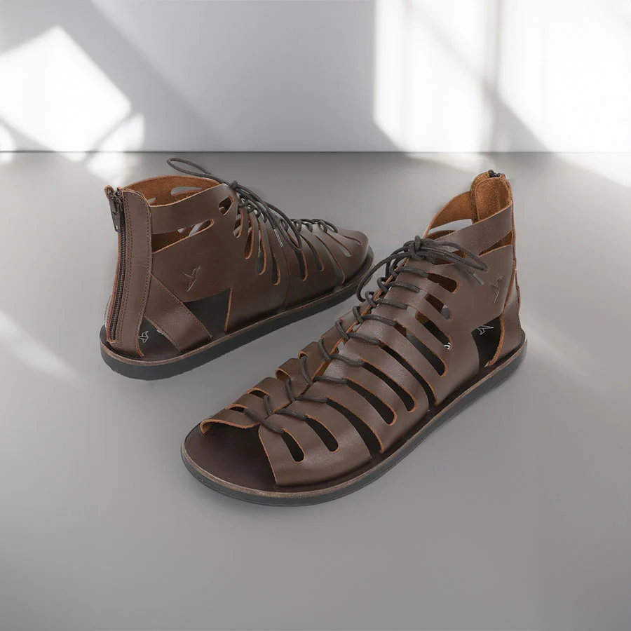 Gladiator - Image 6